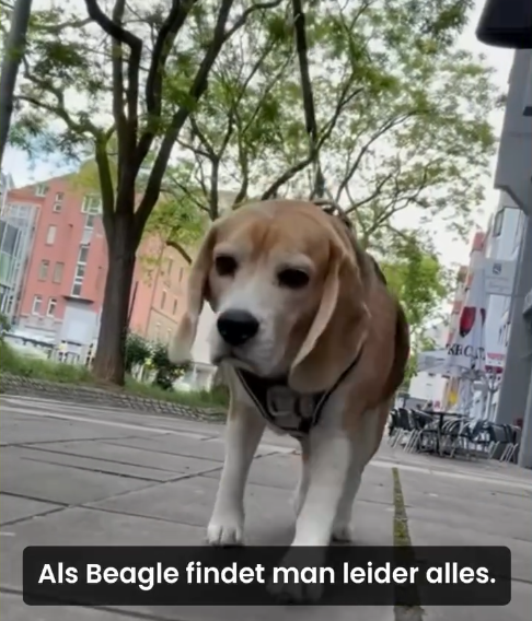 Unser Sympathieträger